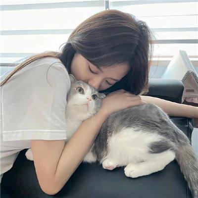 问候